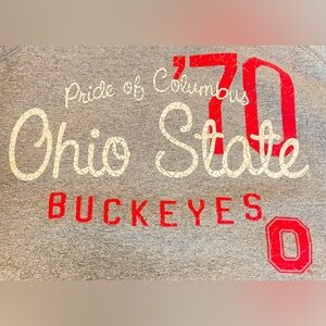 Ohio State Buckeyes Hoodie Pullover Womens Gray New Agenda By Perrin Size Large